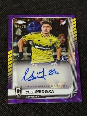 Purple Wave parallel