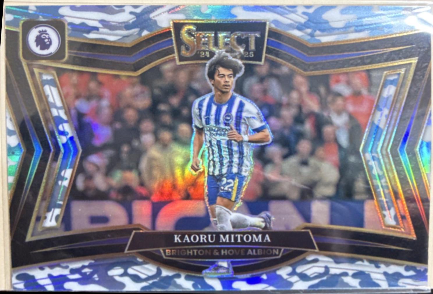 Winter Camo parallel