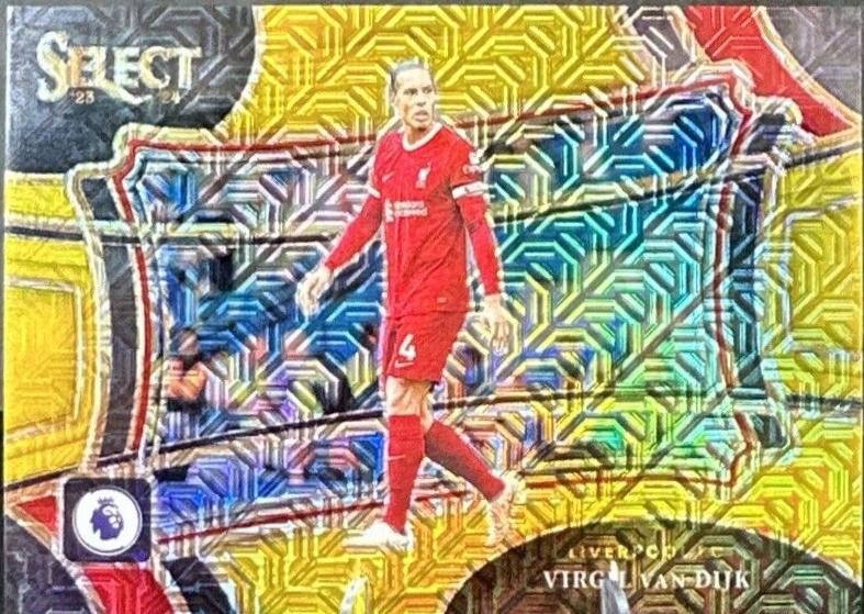 Virgil van Dijk - Select Premier League #237