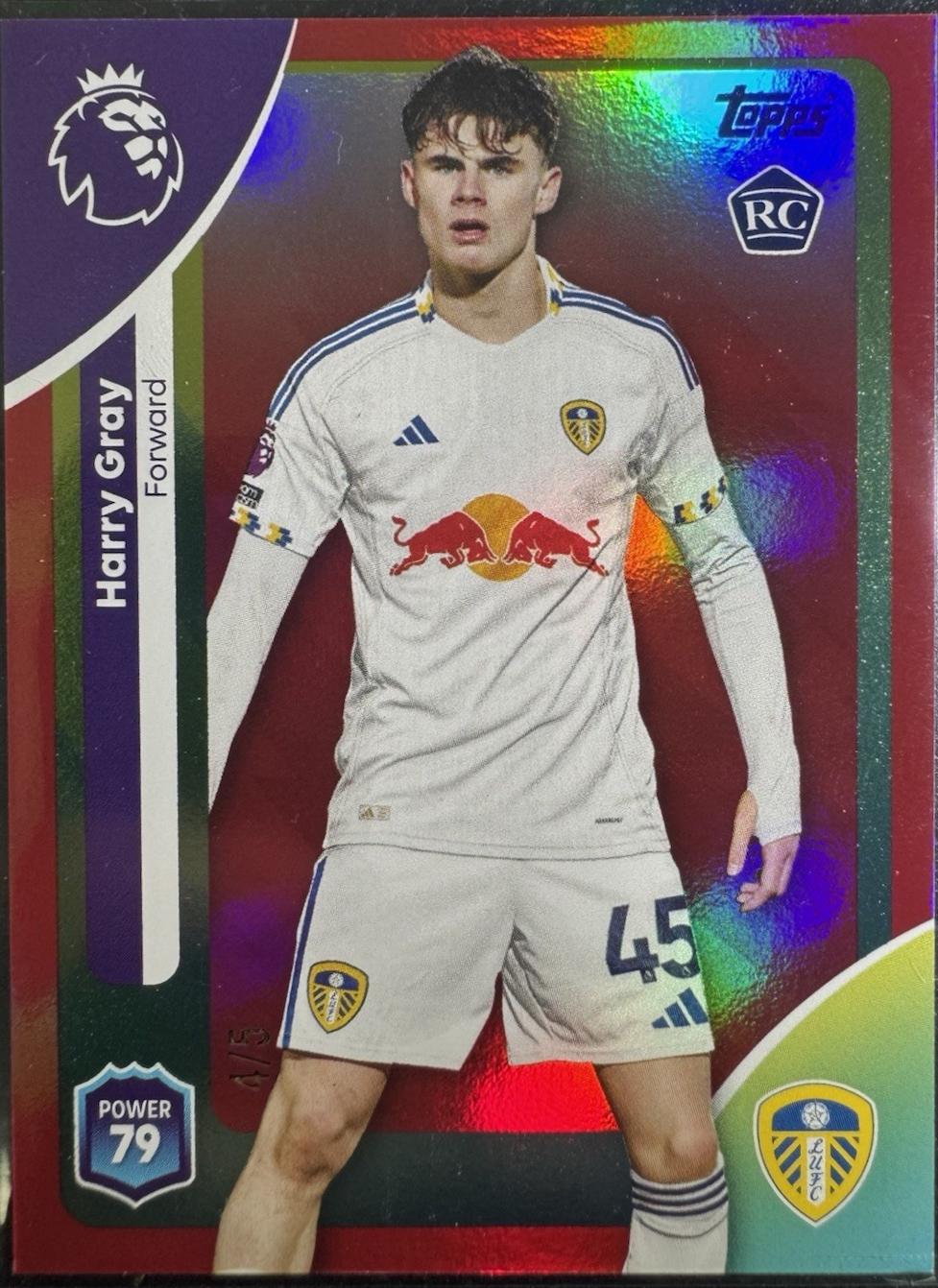 Harry Gray - Premier League #334