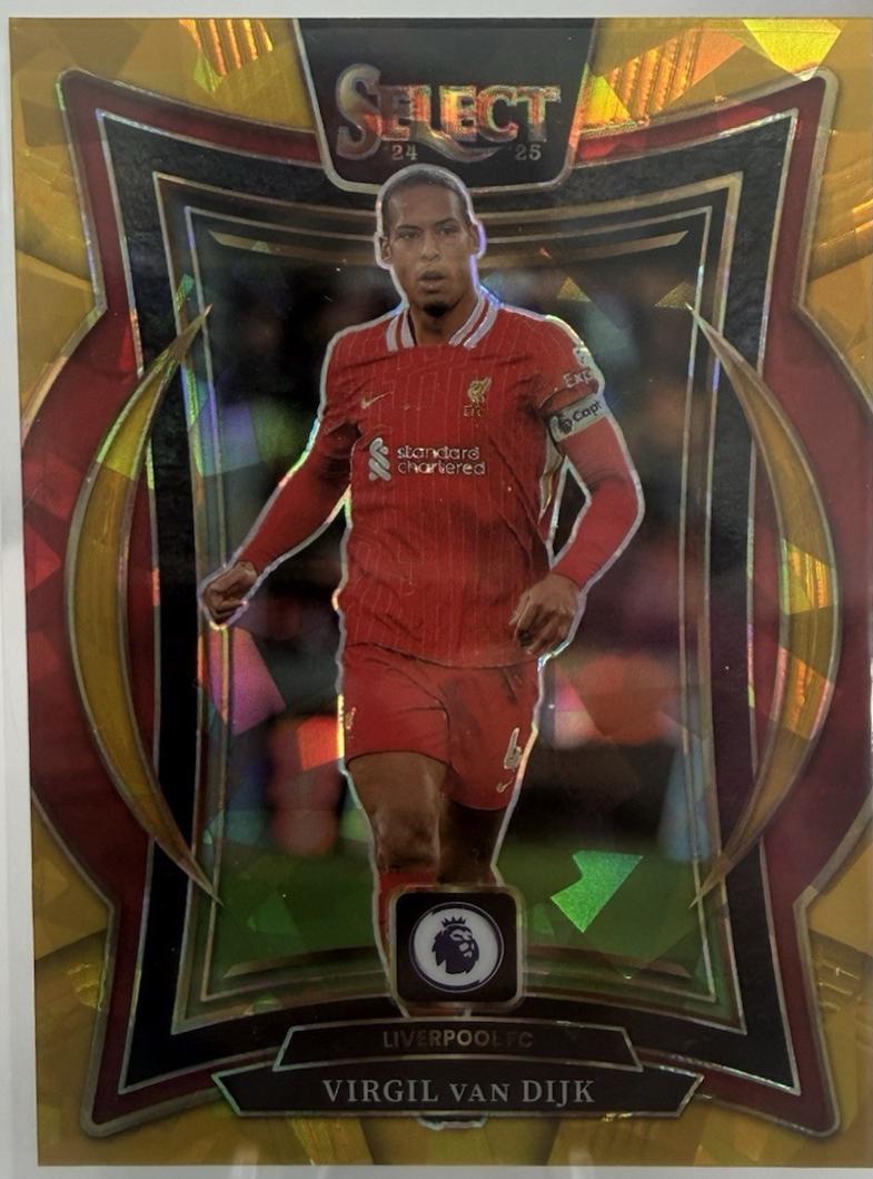 Virgil van Dijk - Select Premier League #44