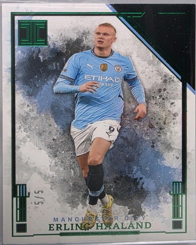 Erling Haaland - Impeccable Premier League #49