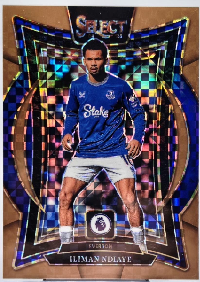 Bronze Checker parallel