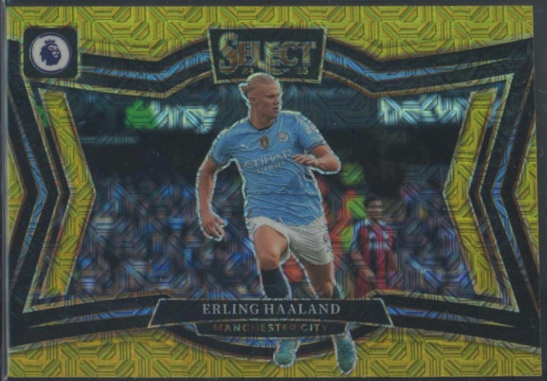 Erling Haaland - Select Premier League #227