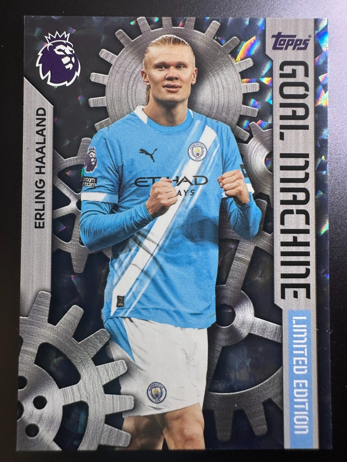 Erling Haaland - Premier League Relic #RE-SAV