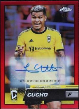 Cucho - Chrome MLS #7