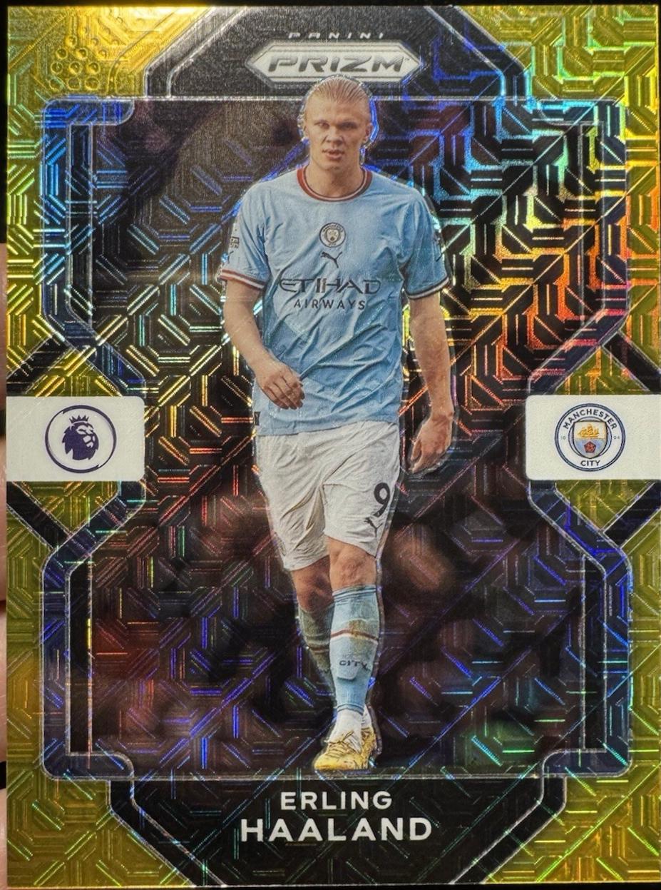 Erling Haaland - Chronicles Premier League #223