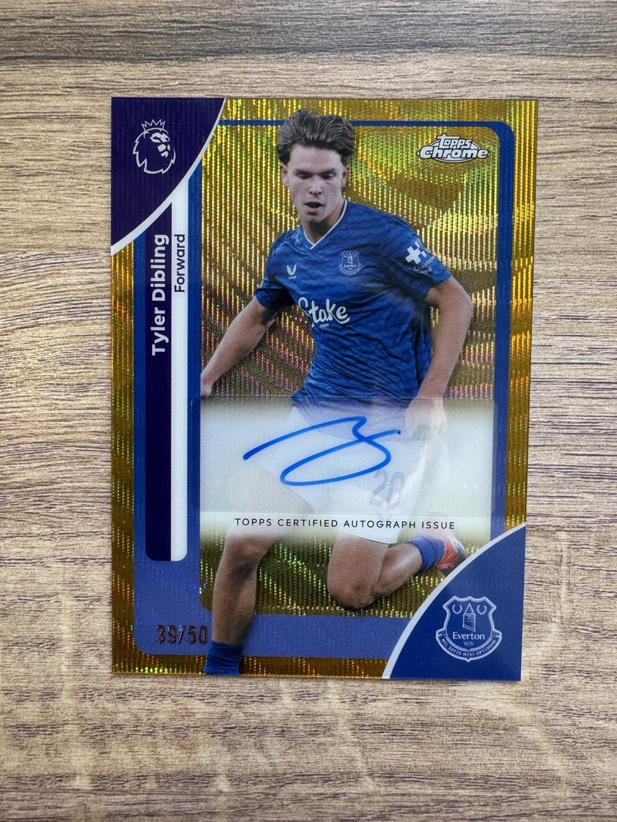 Yellow Refractor parallel