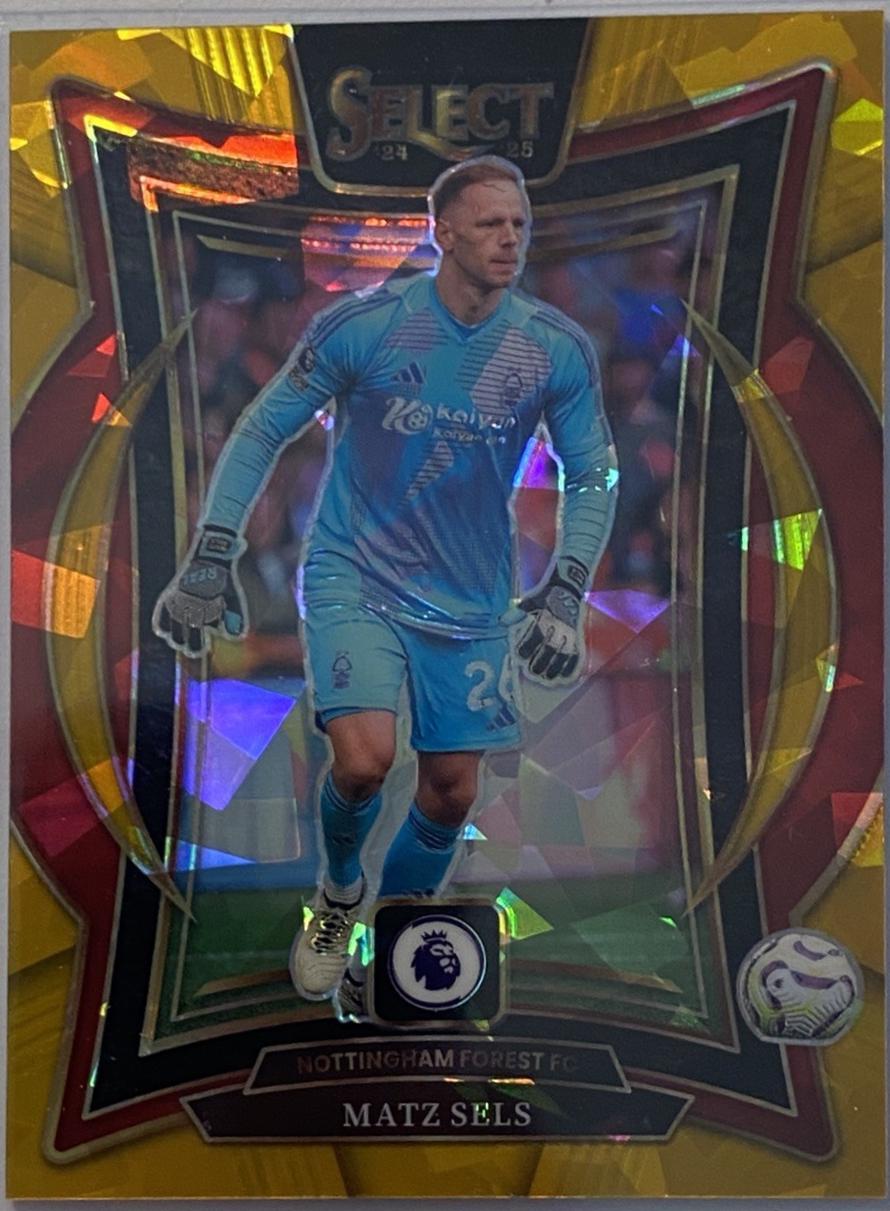 Matz Sels - Select Premier League #75