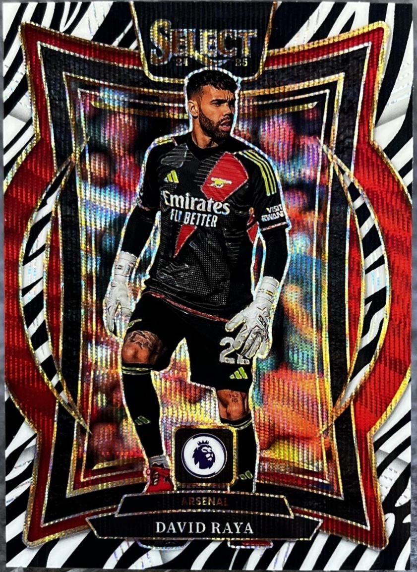 David Raya - Select Premier League #34