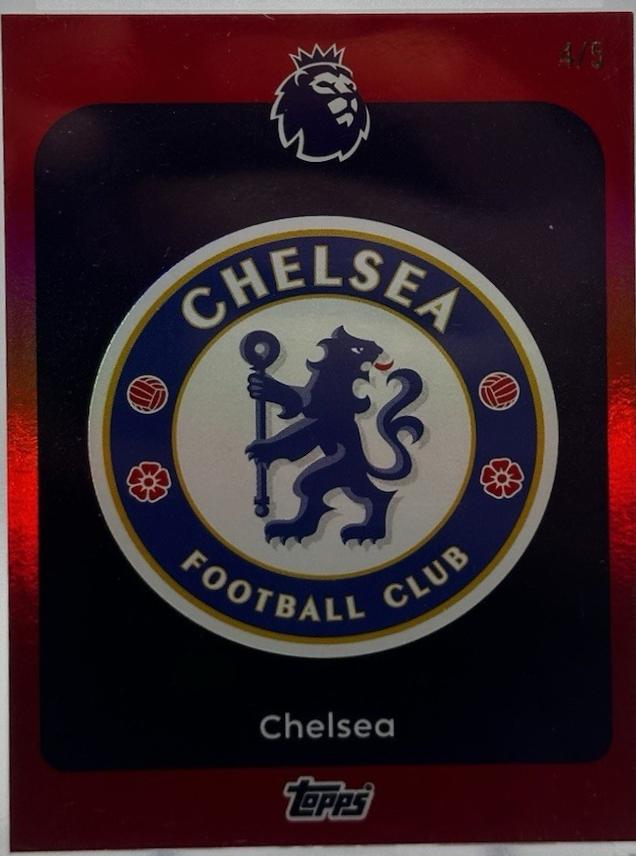 Team Badge - Premier League #91