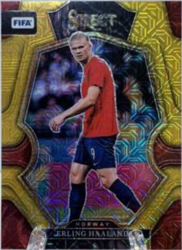 Erling Haaland - Select FIFA #160