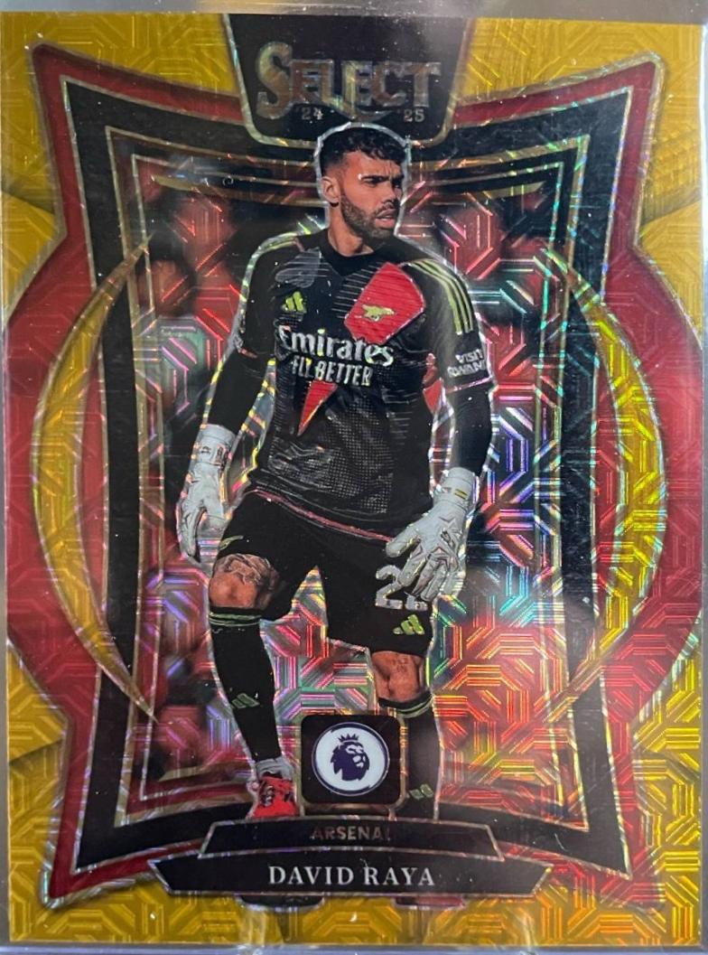 David Raya - Select Premier League #34