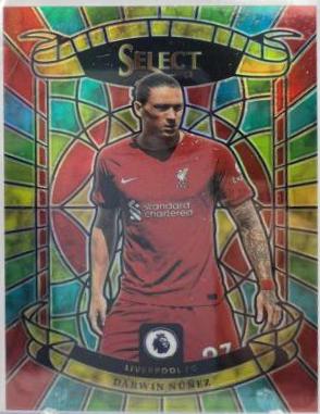 Darwin Nunez - Select Premier League Stained Glass #17