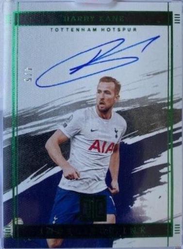 Harry Kane - Impeccable Premier League #135