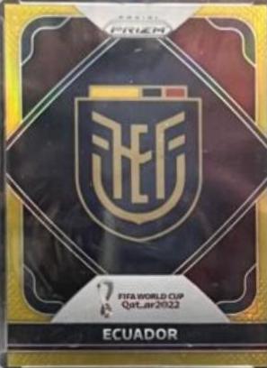 Ecuador - Prizm World Cup Team Badges #8