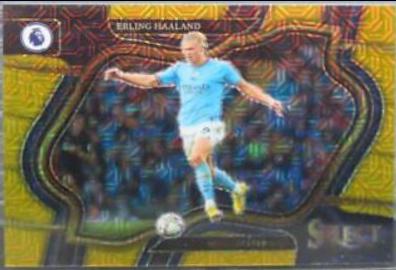 Erling Haaland - Select Premier League #208