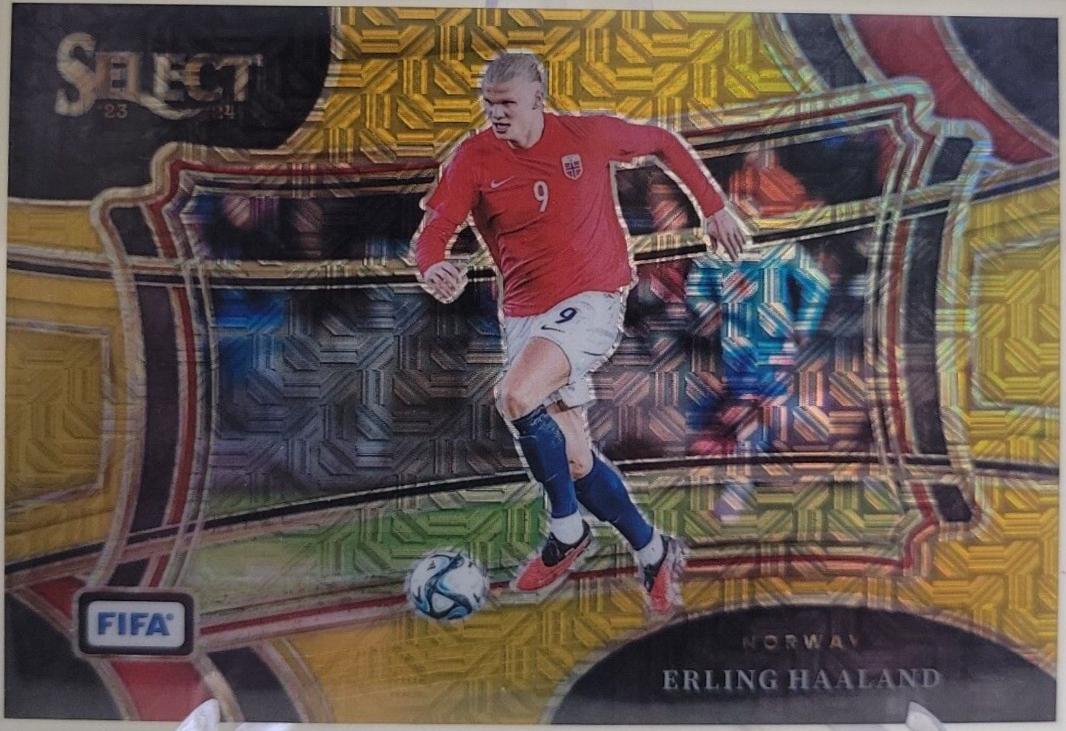 Erling Haaland - Select FIFA #206