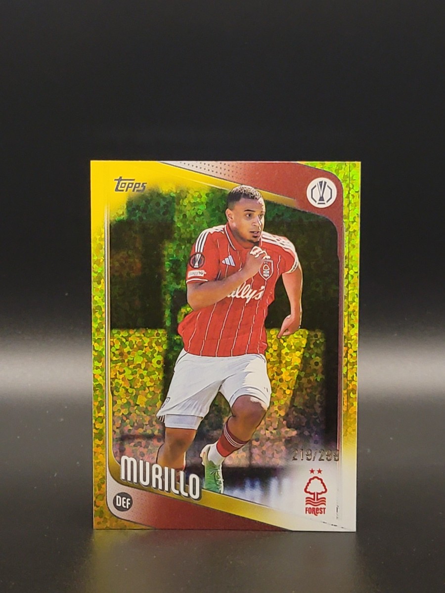 Yellow Refractor parallel