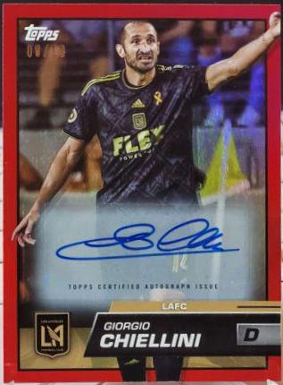 Giorgio Chiellini - MLS #188