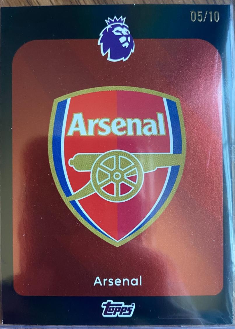 Team Badge - Premier League #1