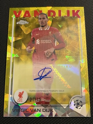 Virgil van Dijk - Premier League #165