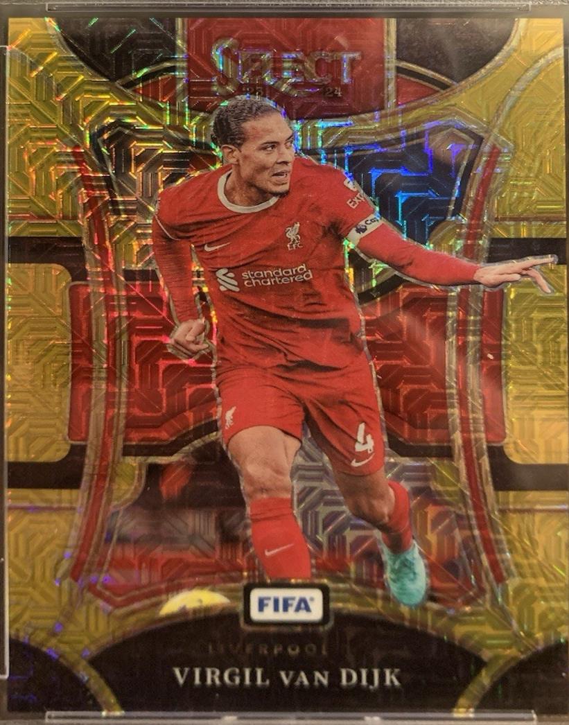 Virgil van Dijk - Select FIFA #109