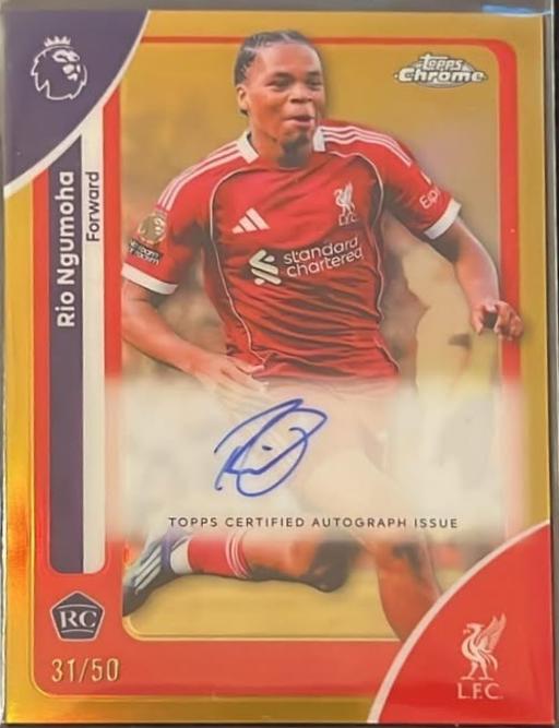 Gold Refractor parallel