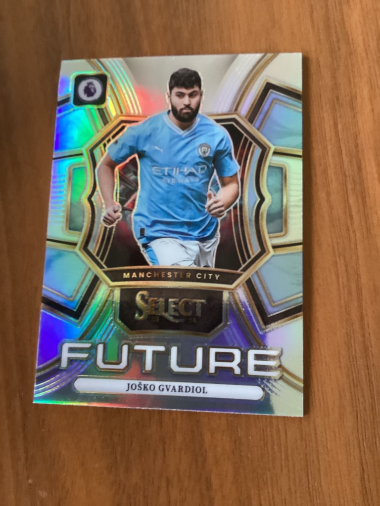 Josko Gvardiol - Select Premier League Future #12