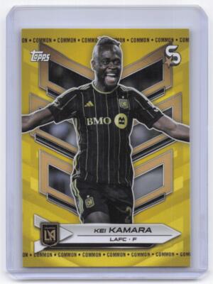Common Yellow parallel
