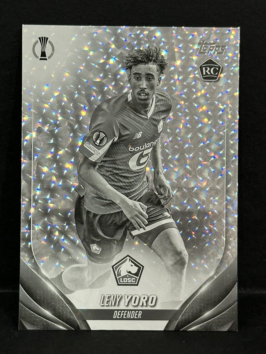 Black White Icy parallel